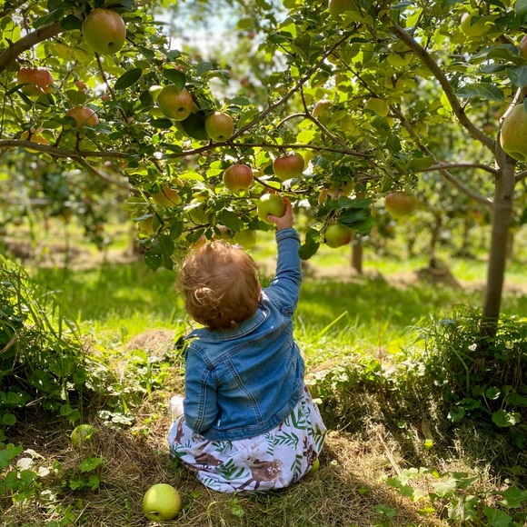 Have a Blessed Day 🌻 - Picture 9 of 13